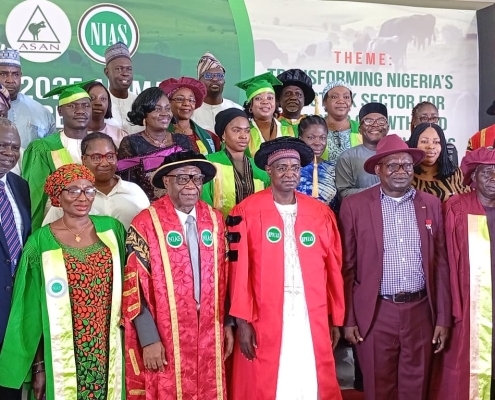 WhatsApp Image 2025-10-29 at 11.50.54_84c53109